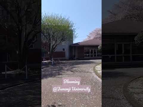 日本文学文化学科 【Vlog】4月1日、新年度がスタートしました🌸