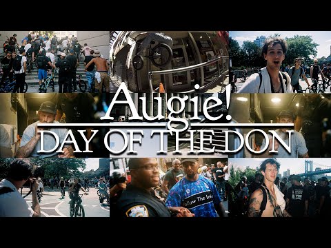 FIT X DIG: AUGIE! DAY OF THE DON