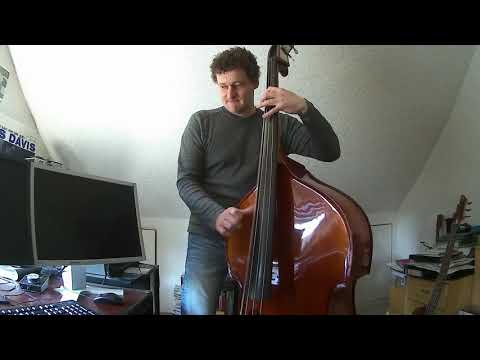 Beverly Hills Cop Main Theme on Upright Bass