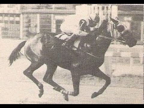 GRAN EDWARD Clásico Copa de Oro de Venezuela (G1) 1989