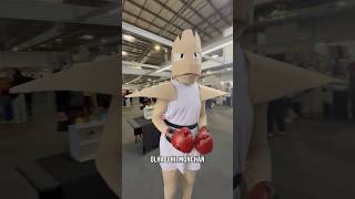 Será que o HITMONCHAN segue a Meruru?? #pokemon #pokemontcg #cards #cosplay #cards