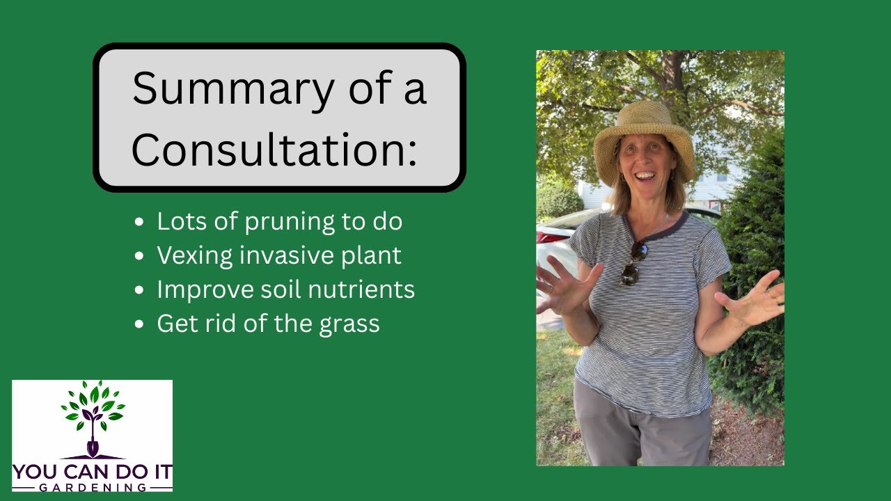 Summary From A Consultation