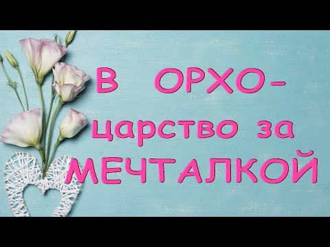 ЗА новой ОРХИДЕЕЙ туда,ГДЕ их МНОГО:в царство орхидей!!!