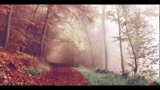 AU5 - SNOWBLIND [10 HOUR VERSION]