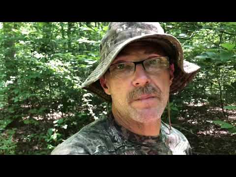 Bug out basecamp pt1: finding a place and making it home