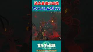 【ティアキン 実況】強すぎる！初見のファントムガノン戦【ゼルダの伝説 ティアーズ オブ ザ キングダム】#Shorts