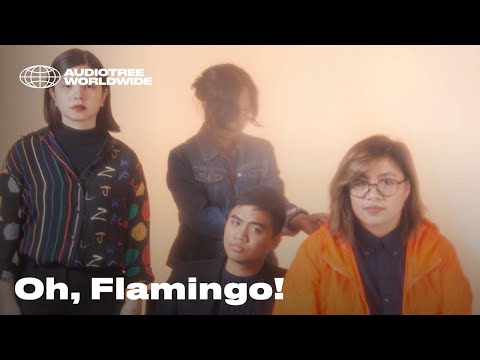 Oh, Flamingo! - Sacred Times | Audiotree Worldwide