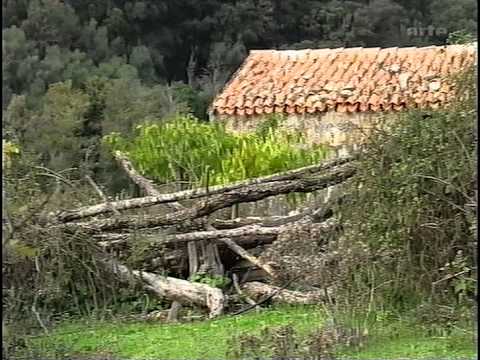 Zu Tisch auf... Korsika 1