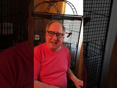 Today's Medley - 4/11/2020