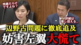 【参政党】梅村みずほが切り込む辺野古妨害活動の『本当の問題点...』真正面からの問題提起に大臣の返答はいかに...？