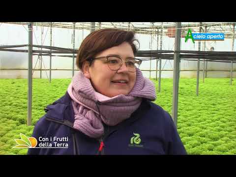 Episode of January 24, 2021 – Part 2 – Heated Greenhouses for Gentilina