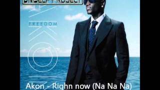 Akon - Right Now (Na Na Na) (UniSelf Remix)