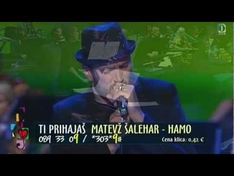 Matevž Šalehar Hamo - Ti prihajaš