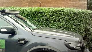 Hedge Maintenance