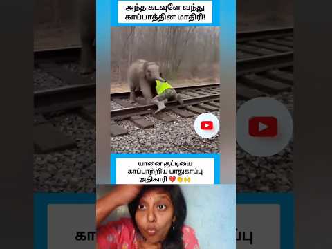 Train வந்திருச்சு 😱 #shortsfeed #shorts #train #help #ytshorts #yt #subscribe #elephant #animals