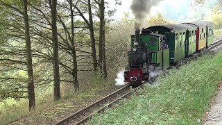 preview picture of video 'Dampfwolken im Autal - Dampfkleinbahn Bad Orb-Wächtersbach Okt/2014'