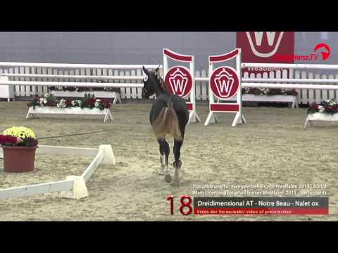 18 Dreidimensional I AT - Notre Beau - Nalet ox