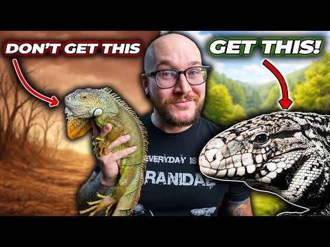 5 Reptiles You THINK You Want But Definitely DON'T!