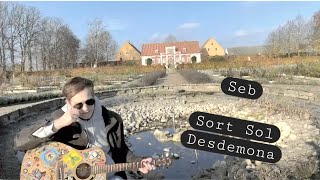 Seb / The Sardives - Sort Sol - Desdemona #danishmusic #90srock #accousticguitarcover #accoustic