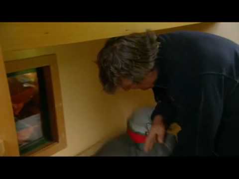 The many phones of Fry