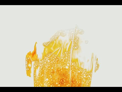 Mass Transfer Principles for Gas Liquid Vapor Liquid Unit Operations Trailer