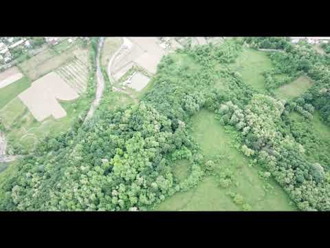 LA GORGAN | ROMANESTI | BACAU