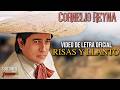 Cornelio Reyna - Risas Y Llanto (Video Lyric Oficial) Letra / Karaoke