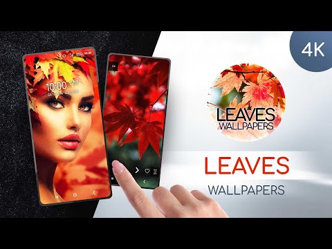 Wallpapers with leaves in 4K