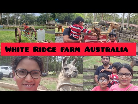 White Ridge Farm