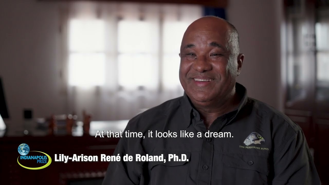 Thumbnail of the video