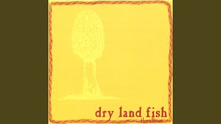 Moonlight/double Yellow Line