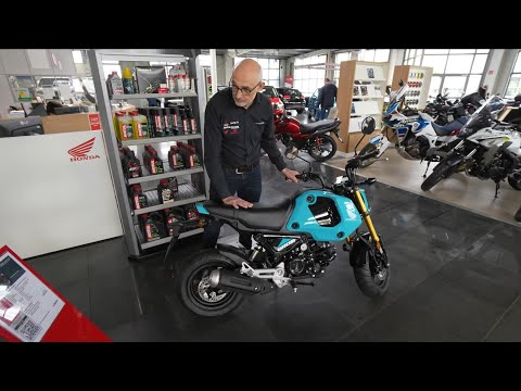 WINZIGES HONDA 125ER CAMPING MOTORRAD erobert Wohnmobile. Honda Grom 2023 und weitere 125er.