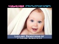Beer In The Headlights - by Baby Rockstar, Lullaby Renditions of Luke Bryan - Crash My Party