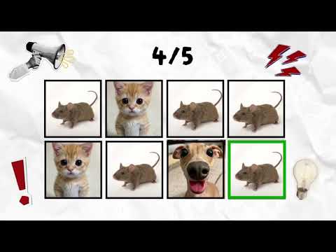 Say The Word On Beat I LEVEL 1-3 I EASY MEDIUM HARD