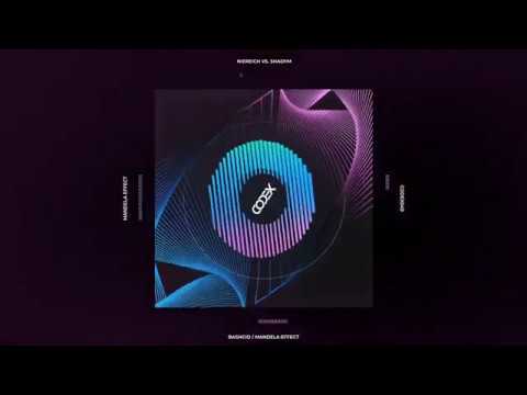 Niereich VS. Shadym - Mandela Effect (Original Mix) // CODEX049