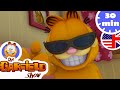 New Compilation Who Wants To Be Famous Garfield US