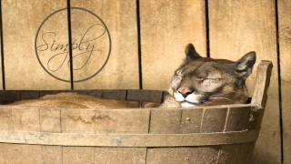 Jetpack Jones - I'm Good (Original Mix)