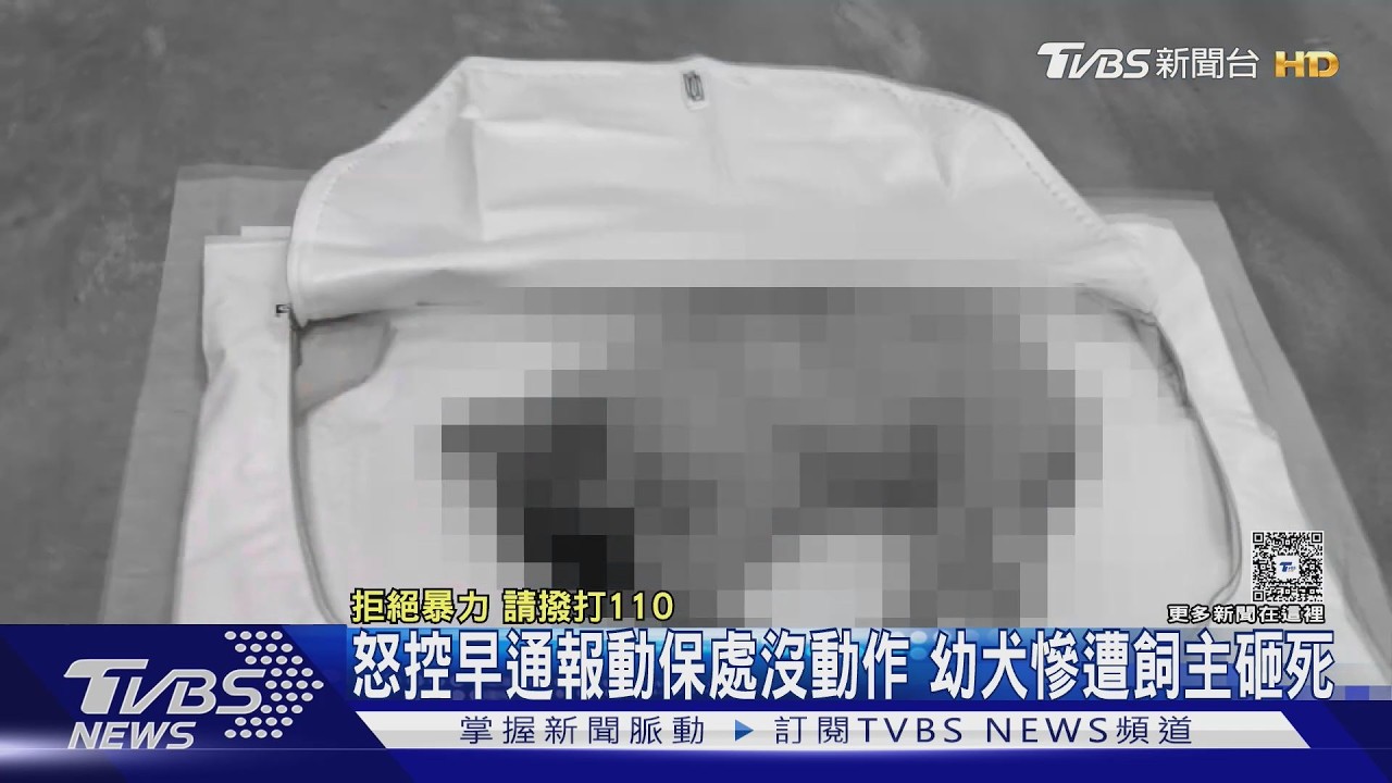飼主謊稱狗吃蚊香亡！真相曝「安全帽砸死」　動保處挨批延誤