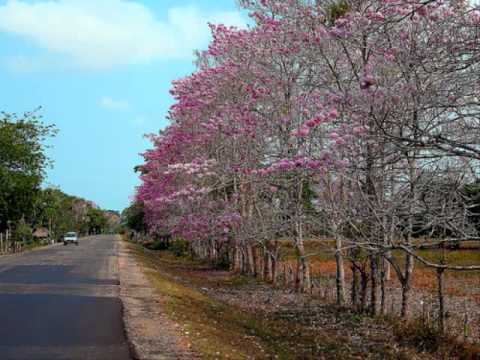 Nostalgia de mi pueblo San Onofre 0001