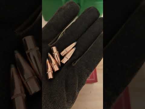 Are Hornady SST Bullets Any Good? YOU Decide!