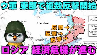 【ウクライナ情勢】露「ロシアは経済も成長している！プーチン大帝がそう言っている！」【軍事解説】