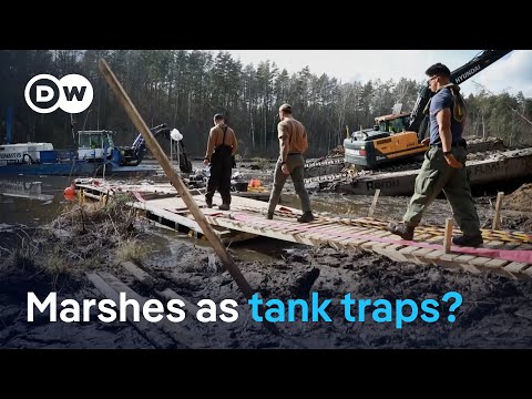 Why Latvia is flooding its peat bogs to deter Russia | DW News