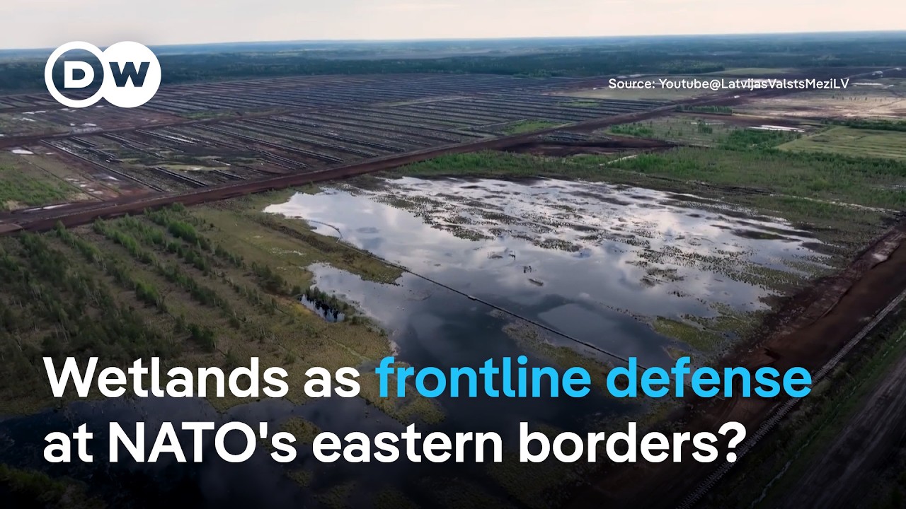 How do Latvia's peatlands fit into NATO’s frontline defense strategy? | DW News