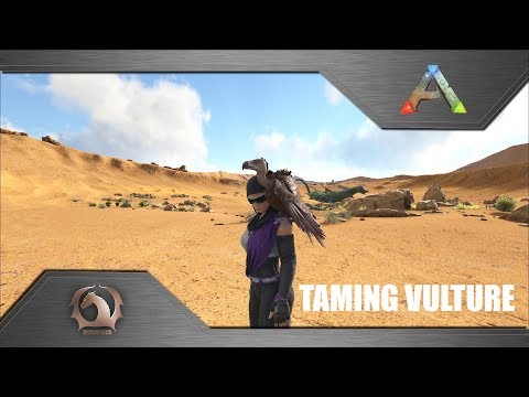 Ark Survival Evolved - Taming Vulture