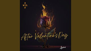 Cover art for Booka flight