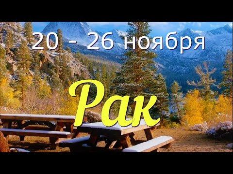 РАК ♋️с 20 по 26 ноября.