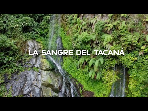 , title : 'La cascada Sangre del Volcán Tacaná, el hogar del quetzal y el pavón - Chiapas.'