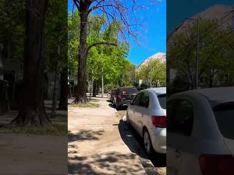 Amamos mucho caminar por la calle Navarro en el barrio porteño de #devoto #walking #tour #bsas