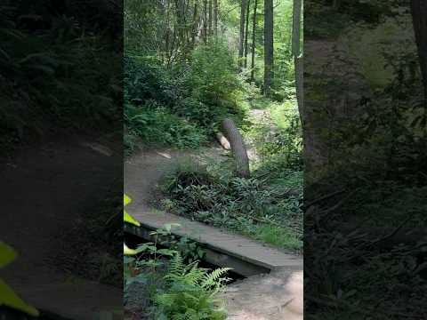 On the Rock Bridge Trail at Red River Gorge #nature #hiking #rocks #totalkneereplacement