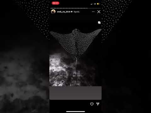 arab snippet kawalka 2023